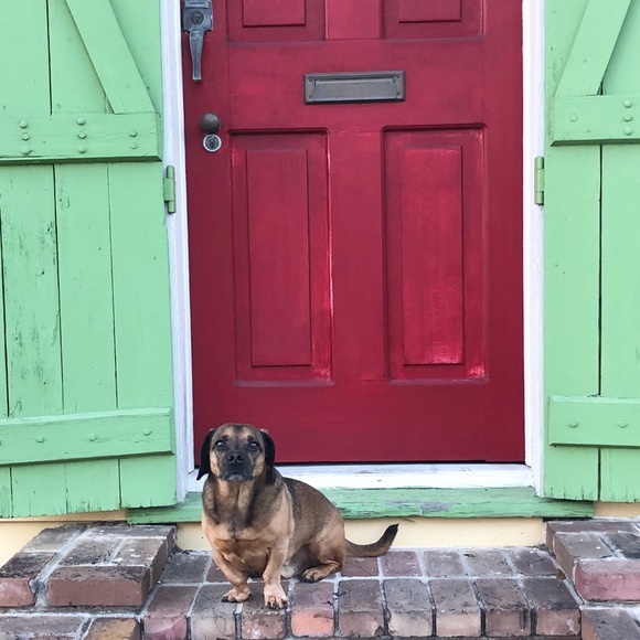 Haley Rose’s Closet 🌹 Welcome! - Picture 5 of 7